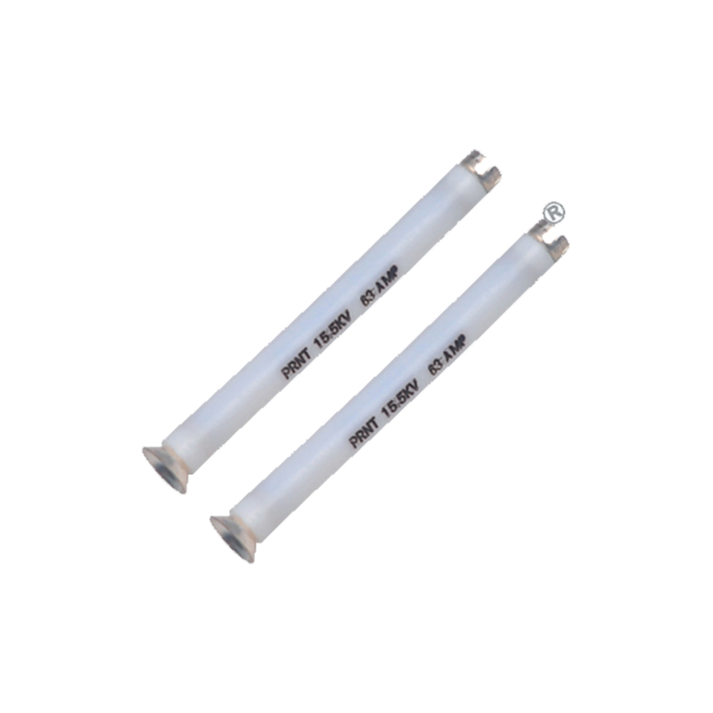 BS SMRS 15.5 双敏熔丝